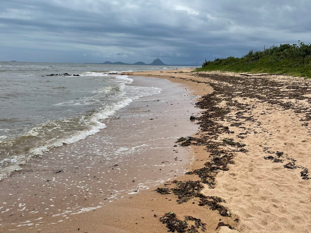 Praia dos Castelhanos-Anchieta必去景点