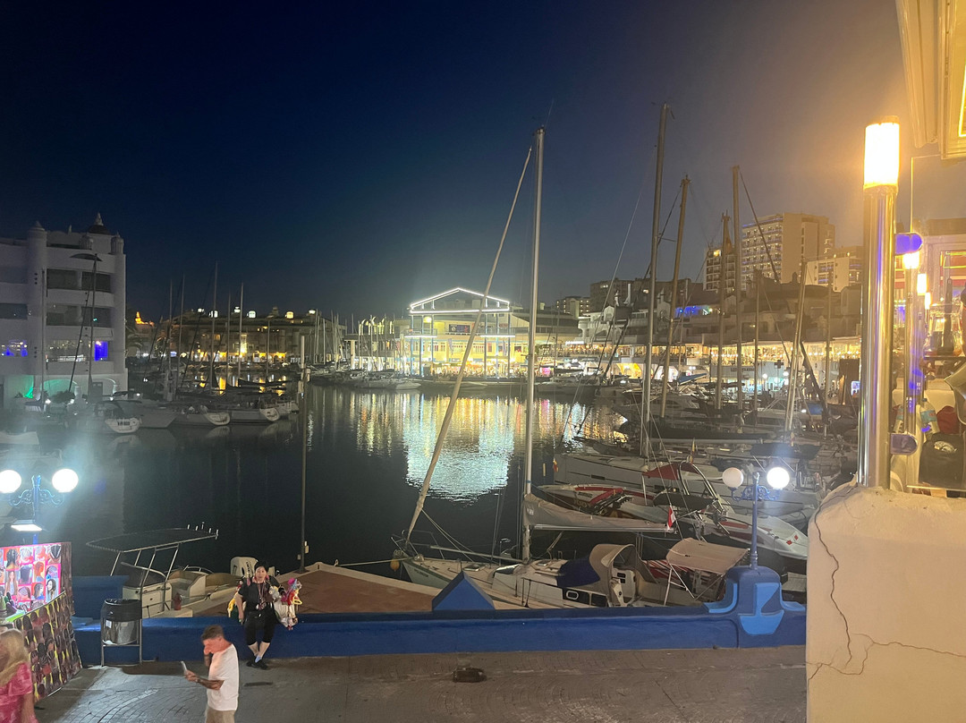 Puerto Marina Benalmadena-班纳玛德纳必去景点