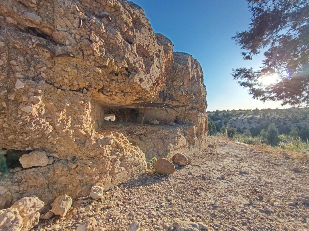 Quad Hammamet-Bir Bou Rekba必去景点