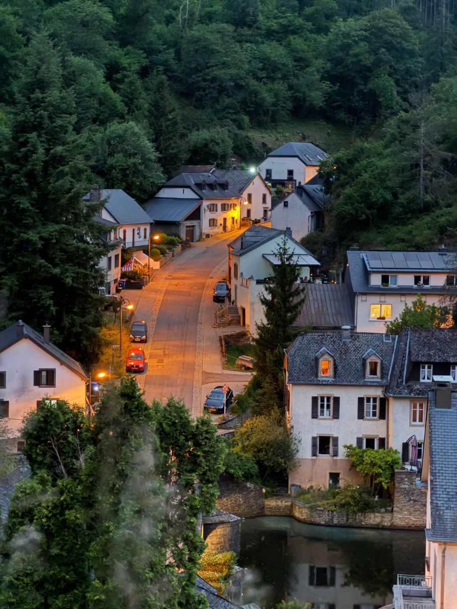 Logis Gourmet & Relax Wellness Hotel de La Sure-旅行者