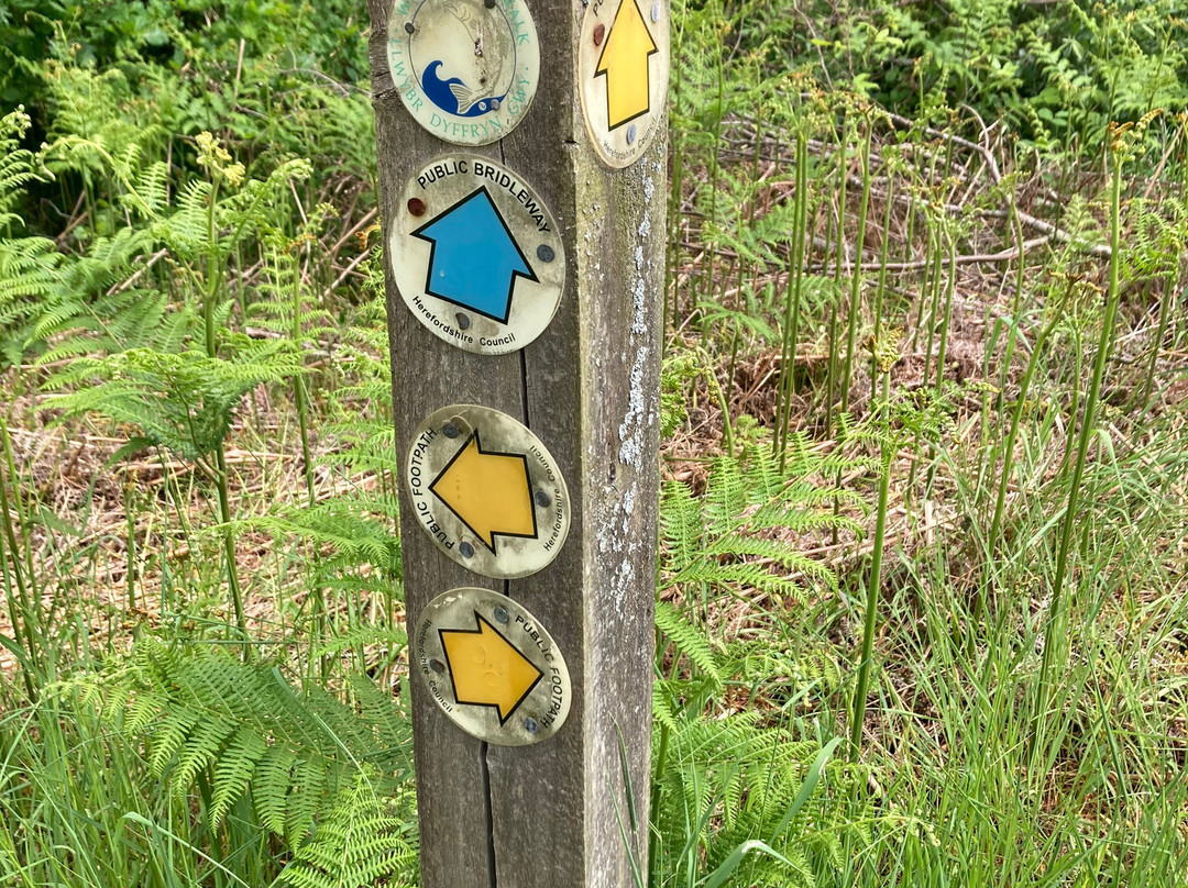 Anglesey And Wales Walking Holidays-Menai Bridge必去景点
