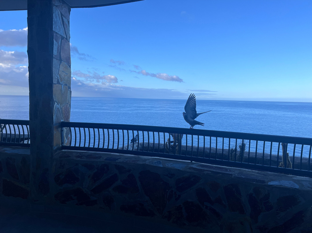 凯莱宫阿马多雷斯海水浴酒店主图
