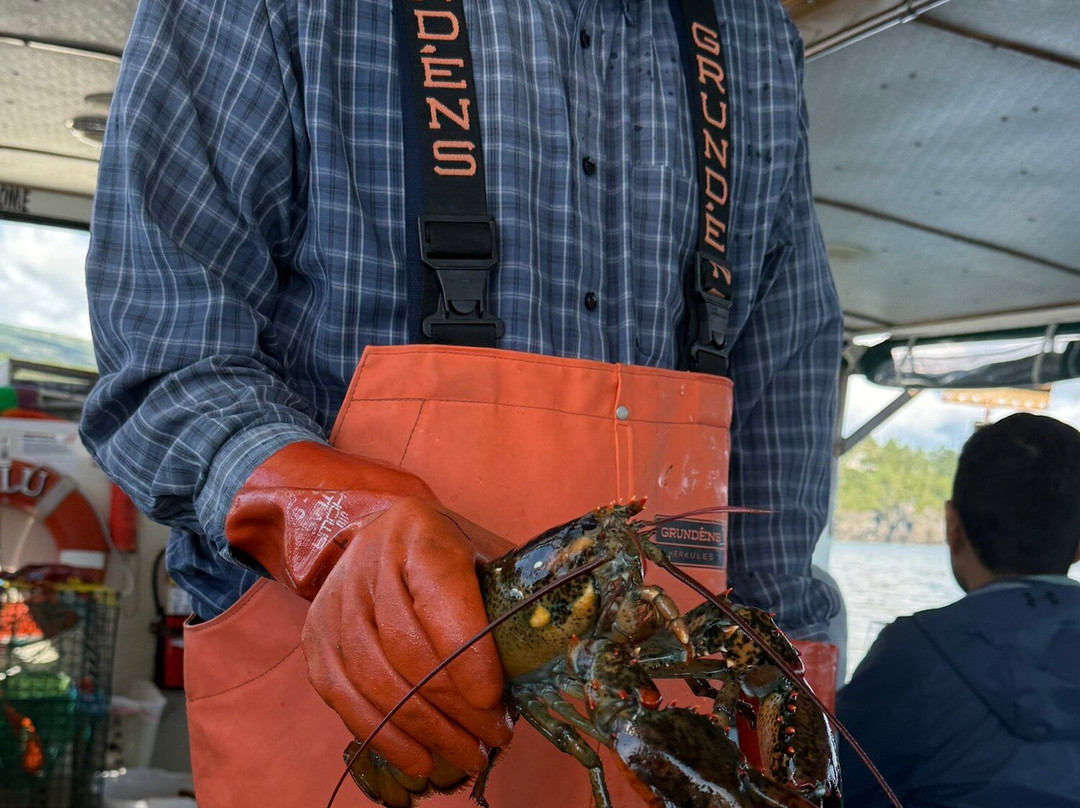 Lulu Lobster Boat-巴港必去景点