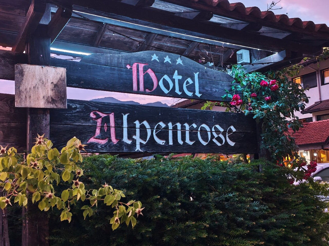 高山玫瑰酒店主图