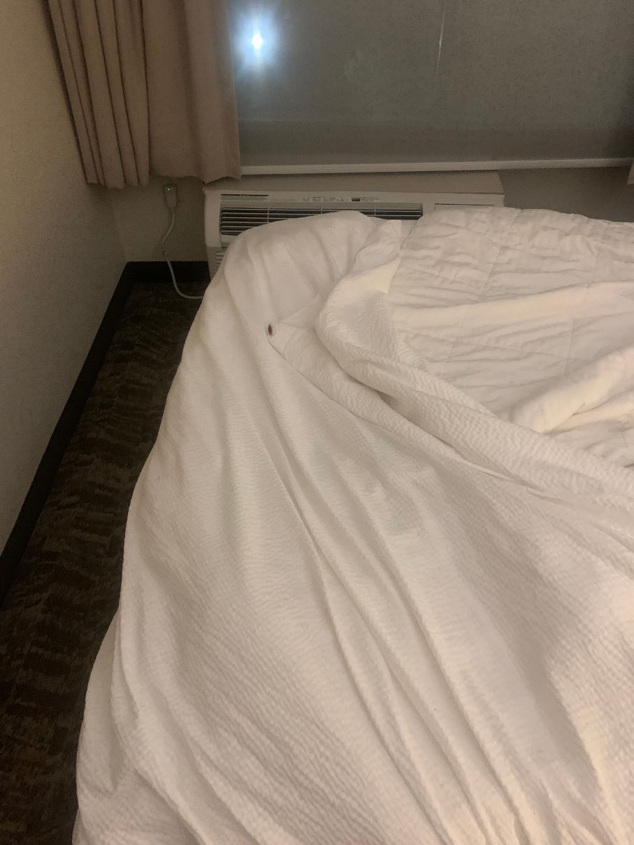 辛辛那提北部/福里斯特帕克 SpringHill Suites酒店-旅行者