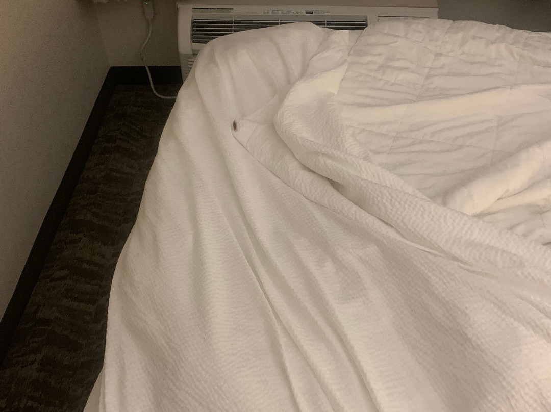 辛辛那提北部/福里斯特帕克 SpringHill Suites酒店主图