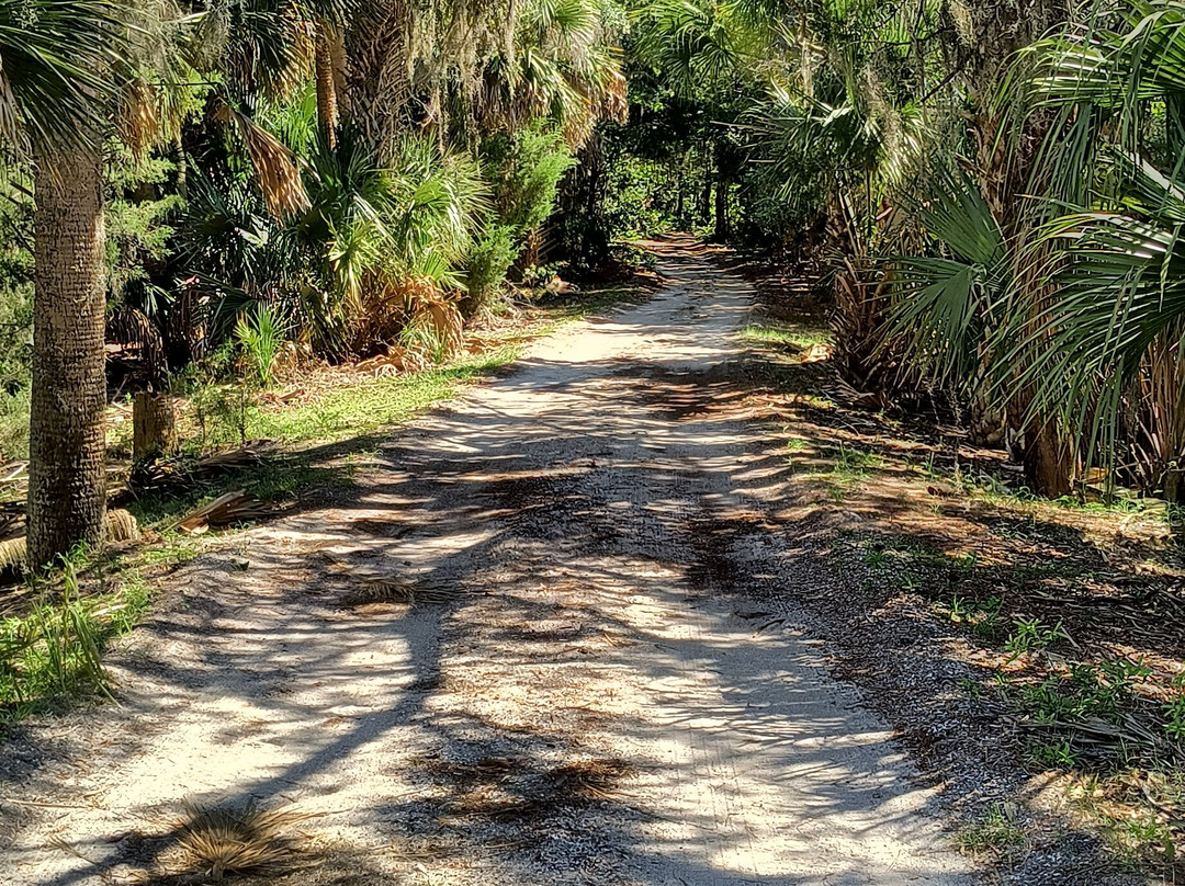 Cumberland Island National Seashore-St. Marys必去景点