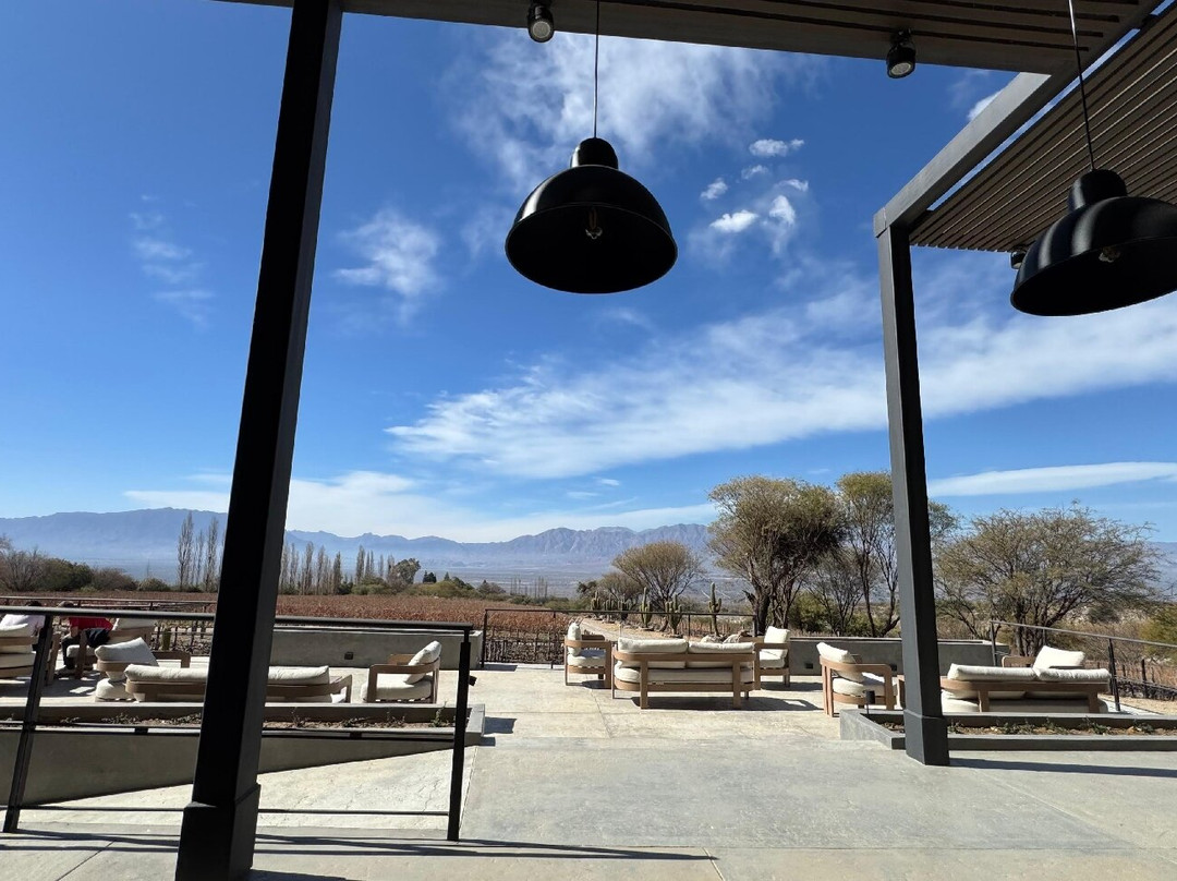 Bodega Domingo Molina-卡法亚特必去景点