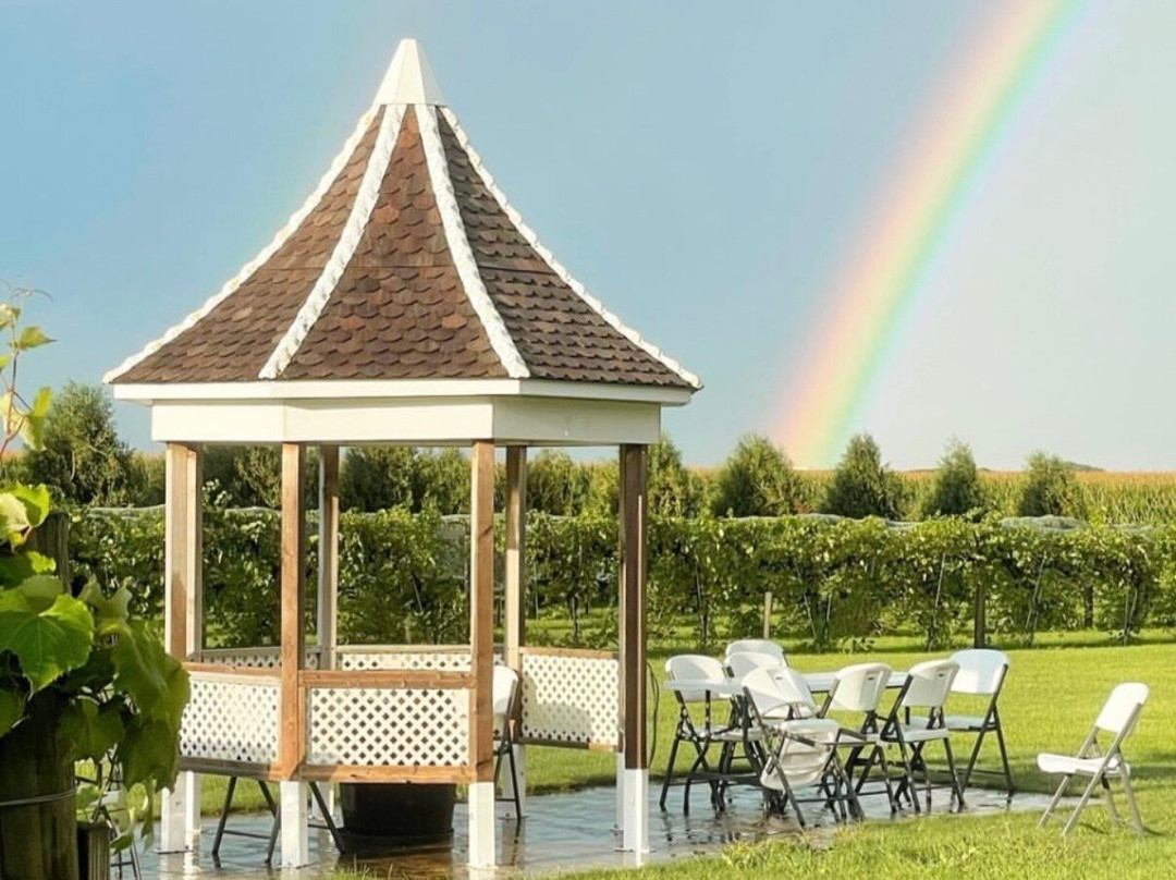 Frisky Fox Vineyard