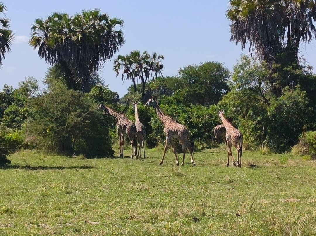 GoSmart Zanzibar Tours & Safari-Kiembi Samaki必去景点