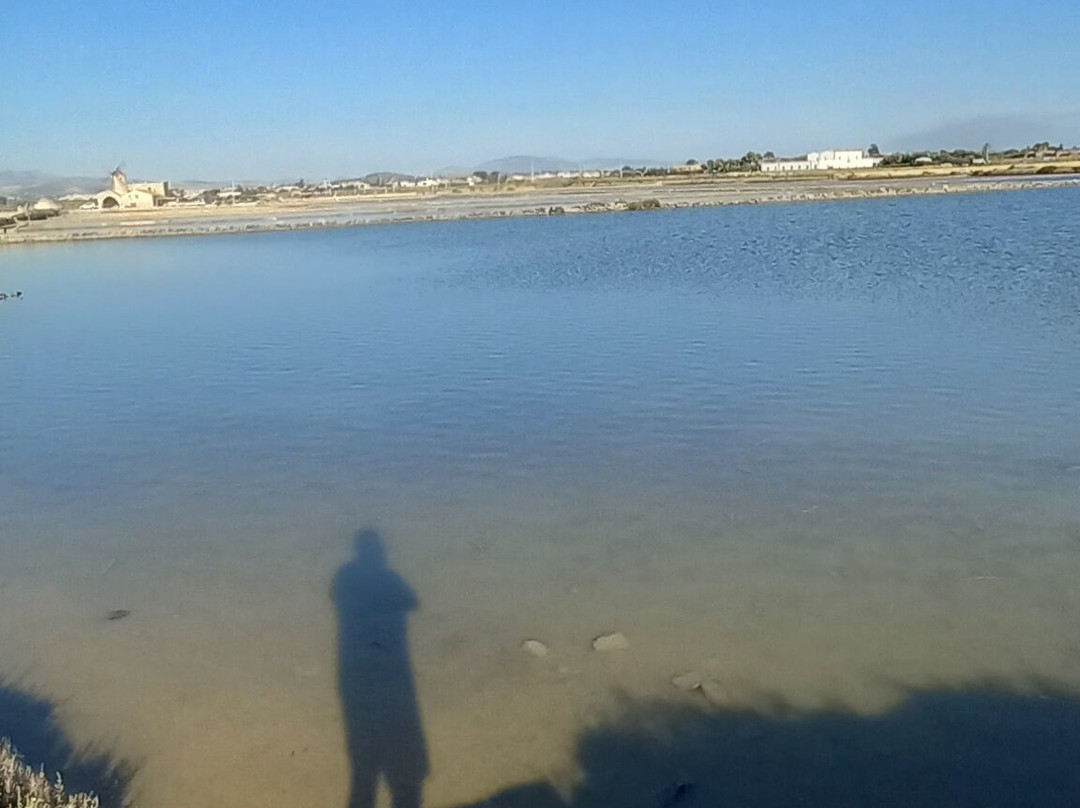 Riserva Naturale Saline Di Trapani E Paceco-特拉帕尼省必去景点