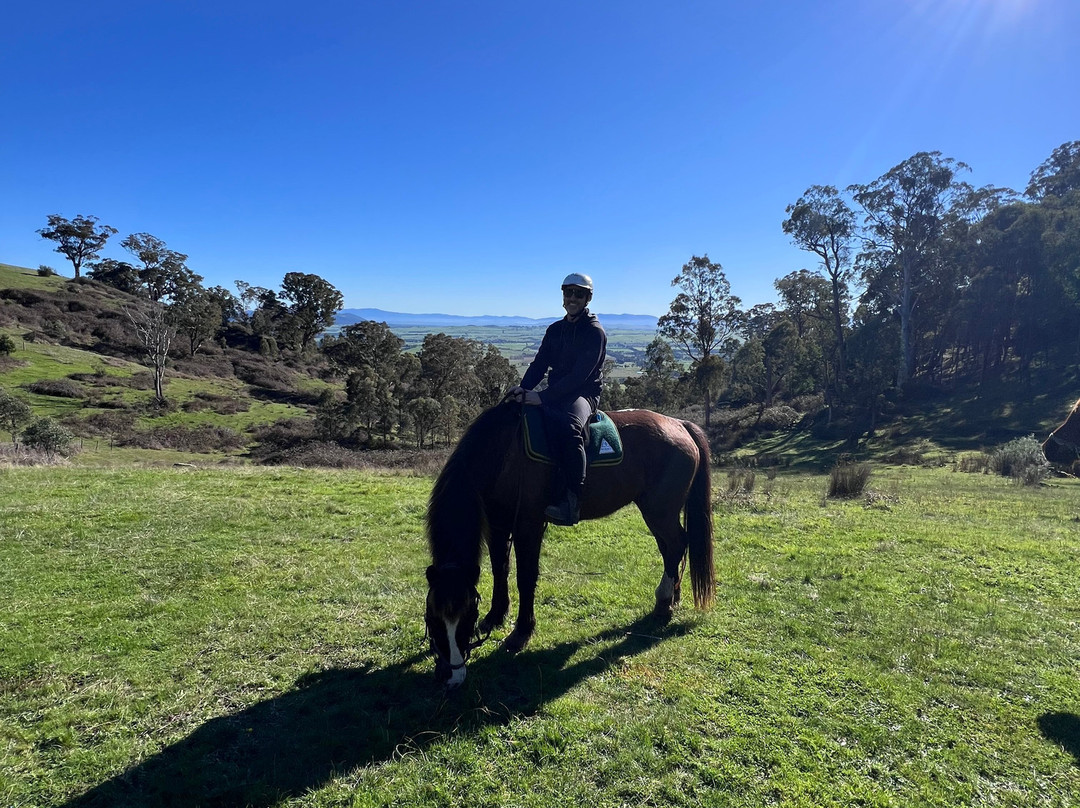 Watson's Mountain Country Trail Rides - Day Tours-曼斯菲尔德必去景点