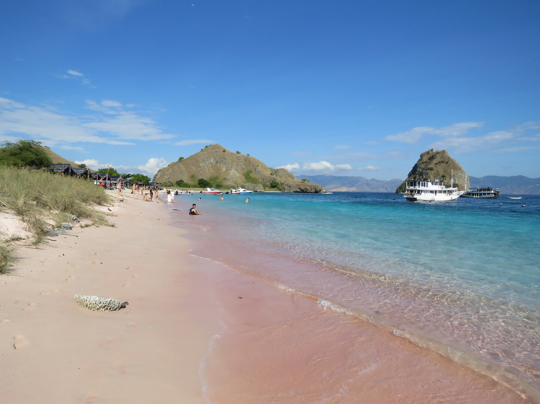 Pink Beach-科莫多必去景点