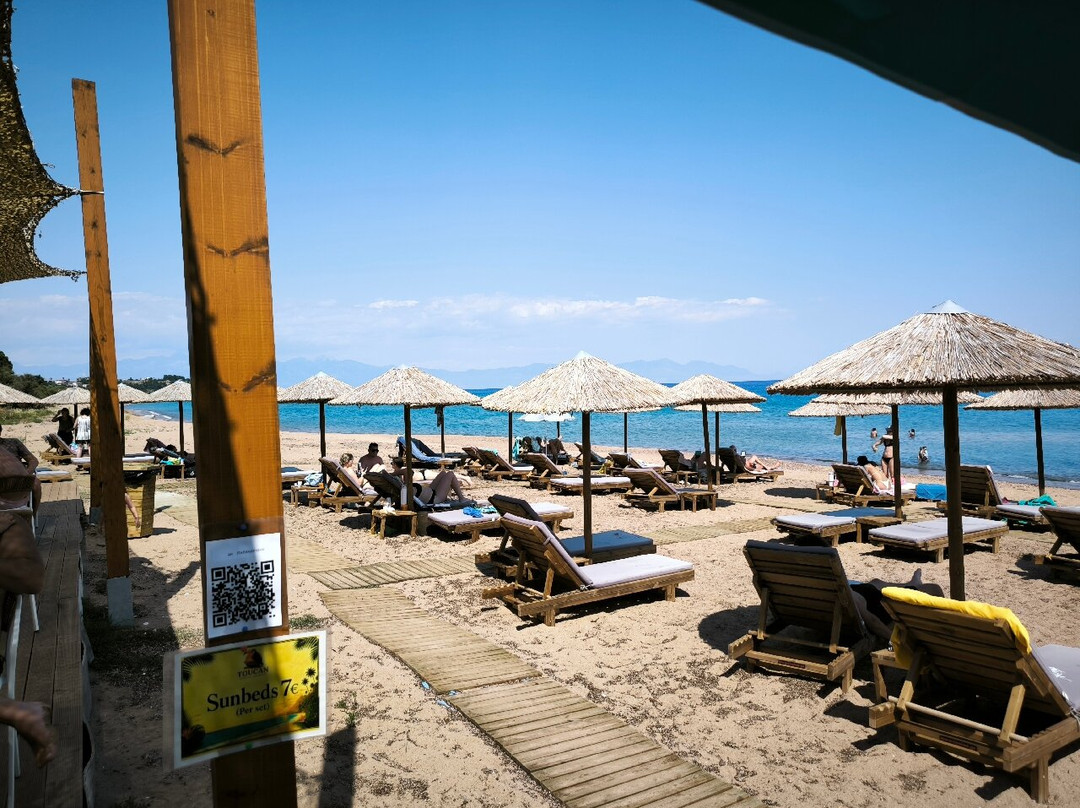 Toucan Beach Bar