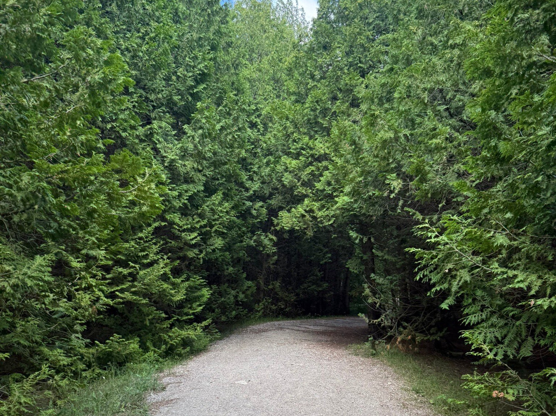 Fletcher Creek Ecological Preserve-Puslinch必去景点