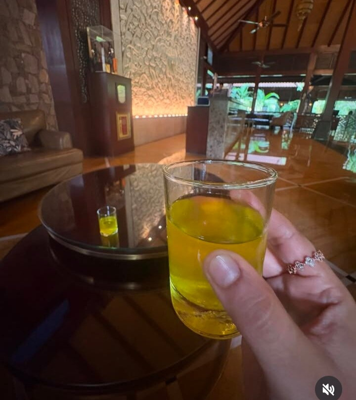 乌代布尔阿南塔酒店主图