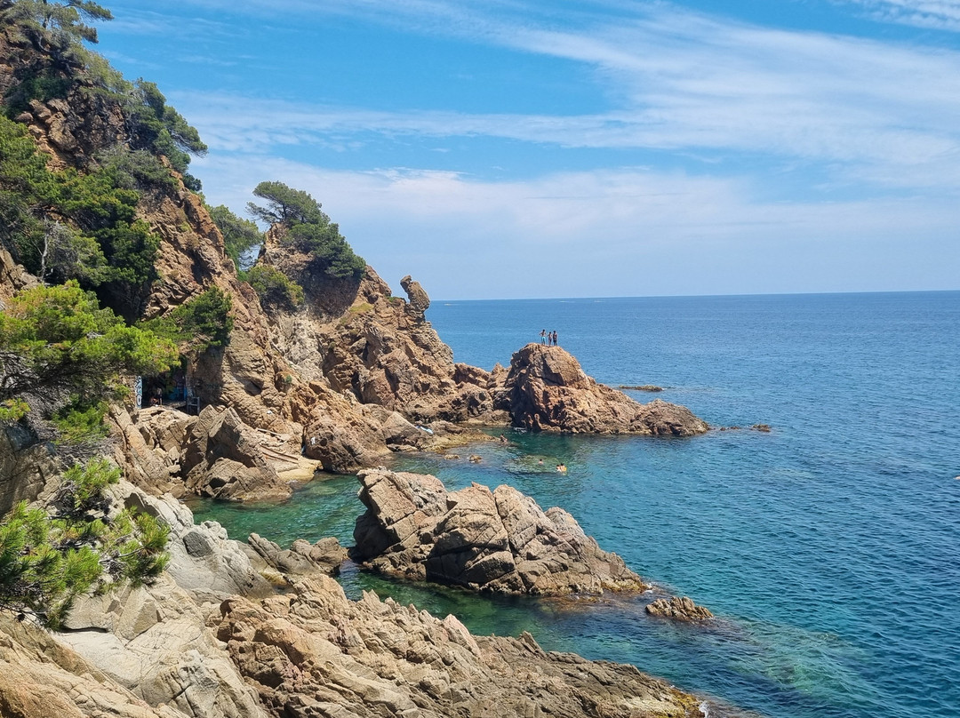 Cala de Sant Francesc-布拉内斯必去景点