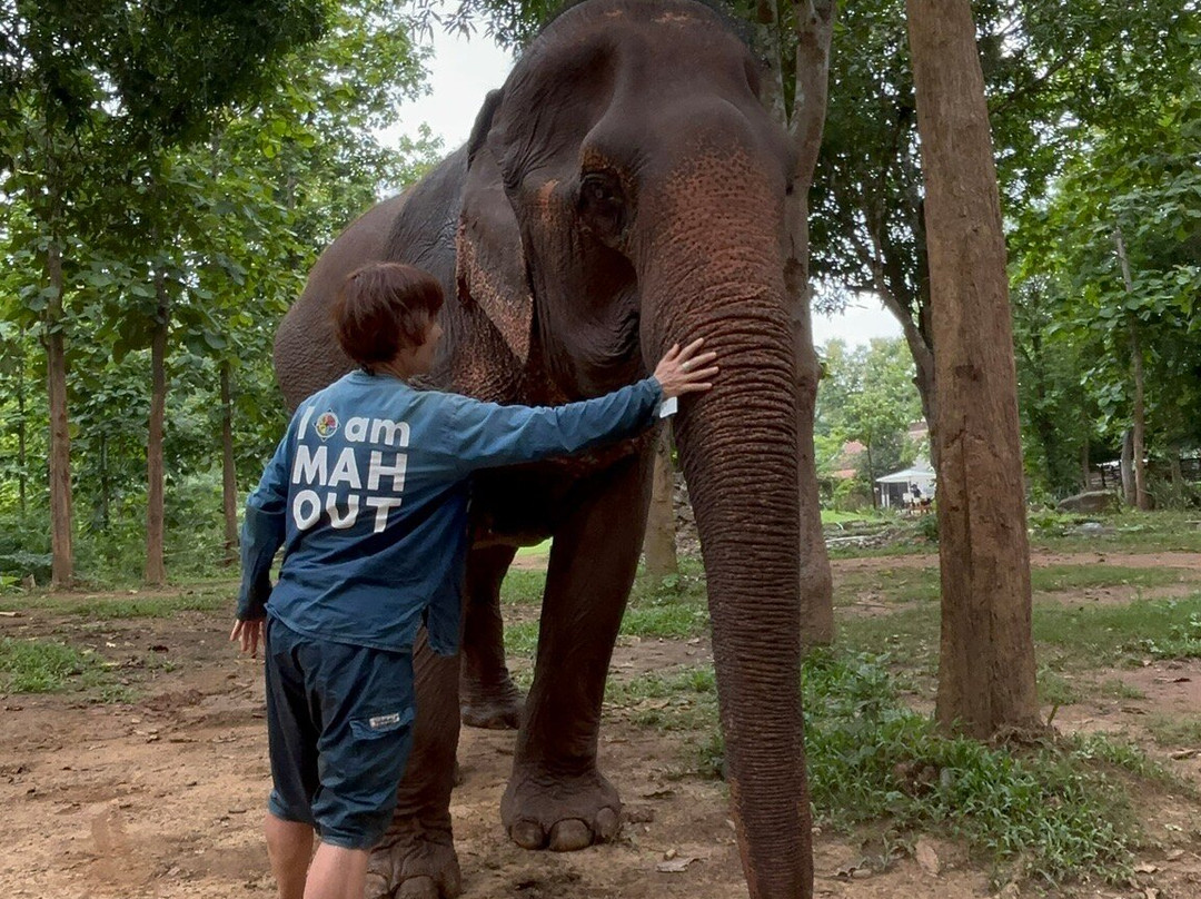 Manifa Elephant Camp-Sang Ha必去景点