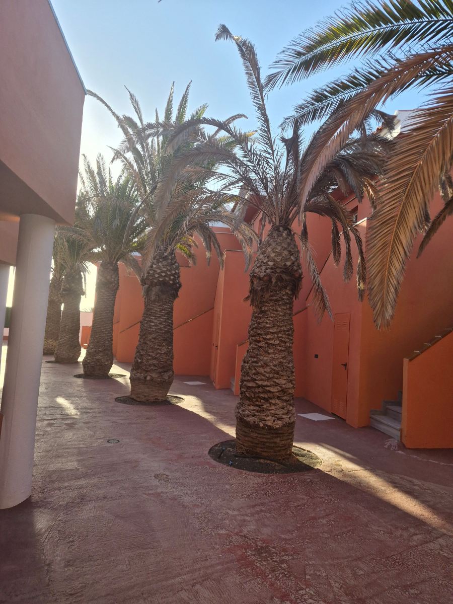 全球科斯塔热带酒店-旅行者