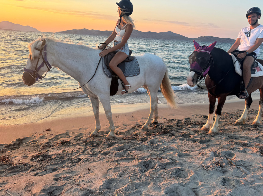 Erika's Horse Farm Kos-Marmari必去景点