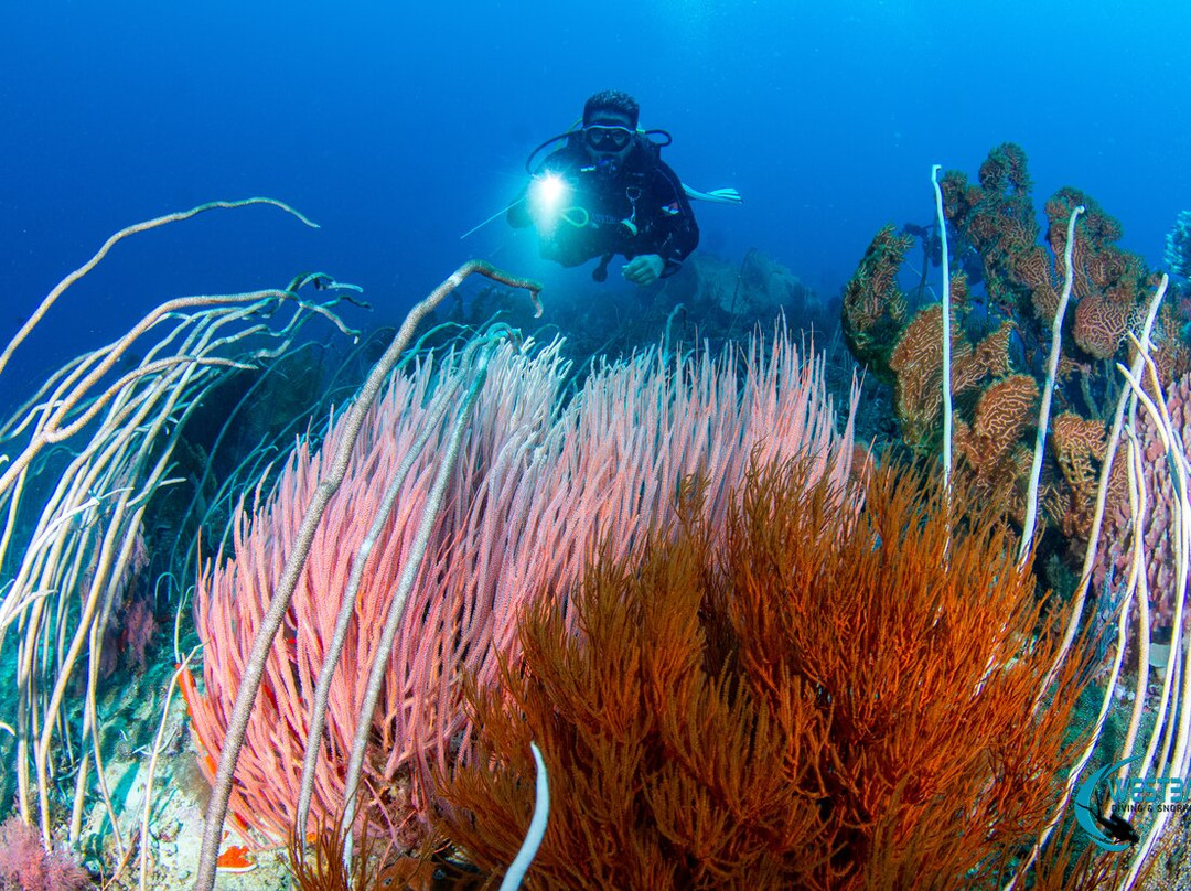 West Bali Diving And Snorkeling-Sumberkima必去景点