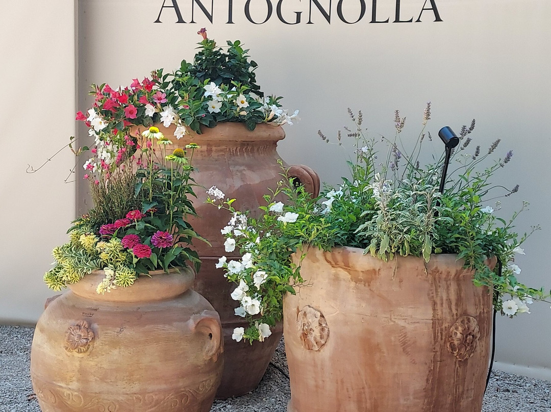 Antognolla Golf-佩鲁贾必去景点