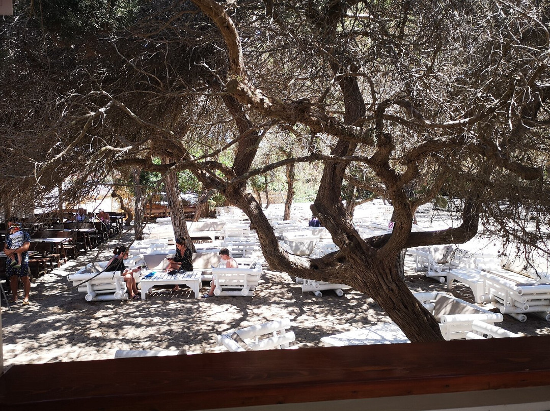 Samanà Beach-Punta Prosciutto必去景点