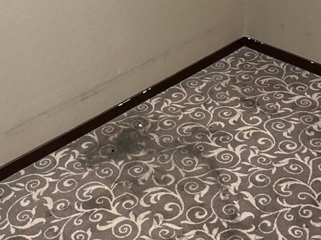 阿姆斯特丹竞技场OZO酒店主图