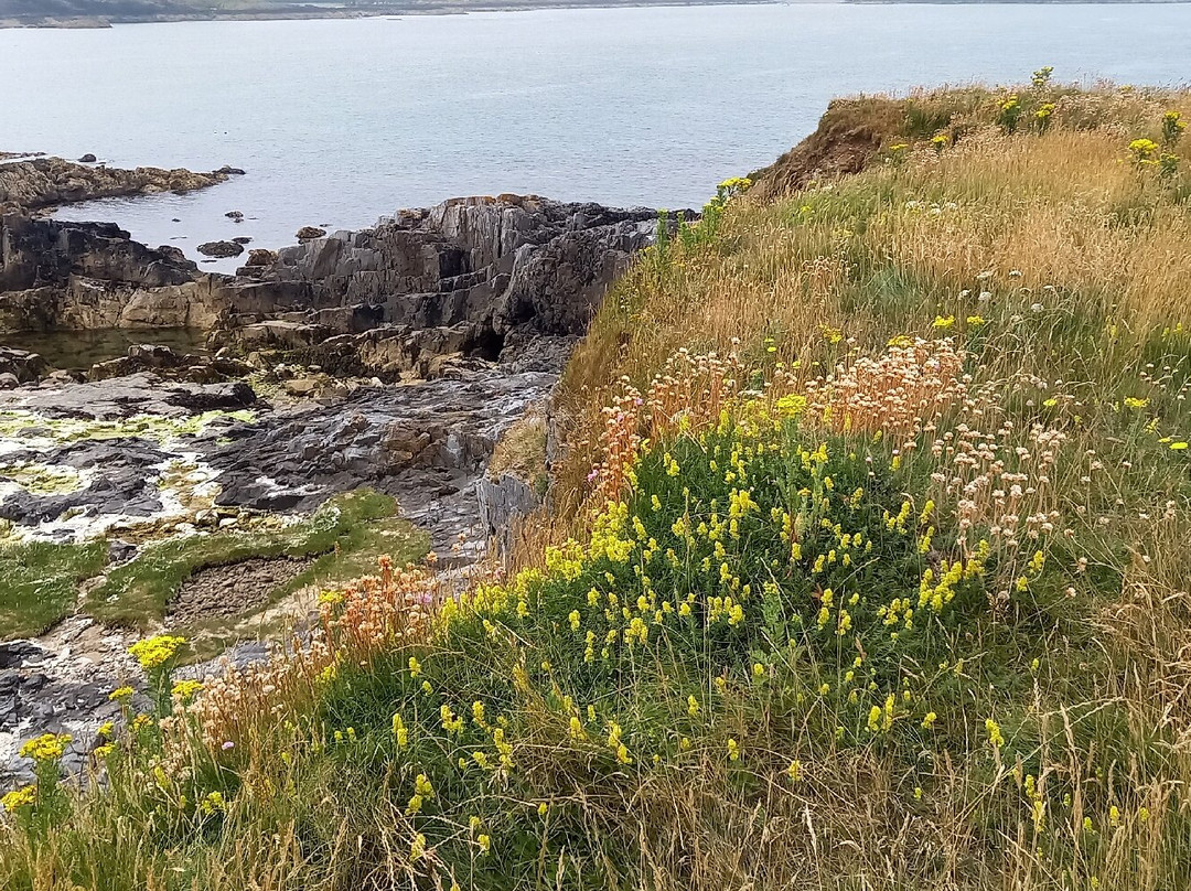 Llanbadrig Church-Cemaes Bay必去景点