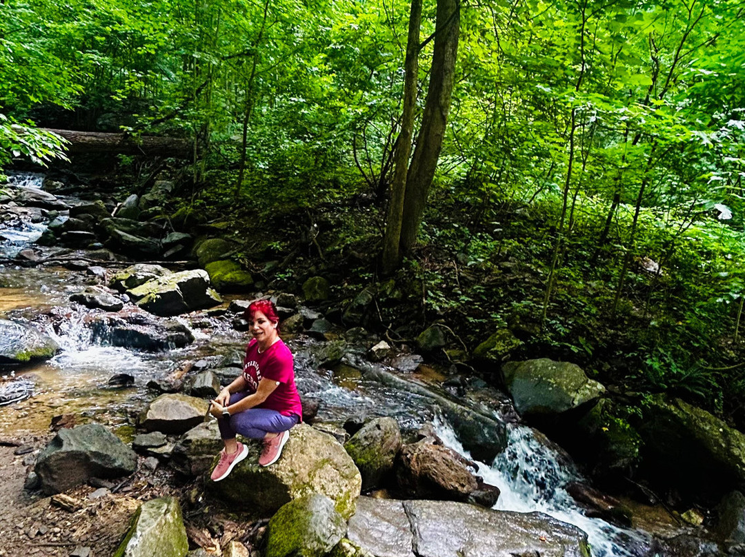 Amicalola Falls State Park-道森维尔必去景点