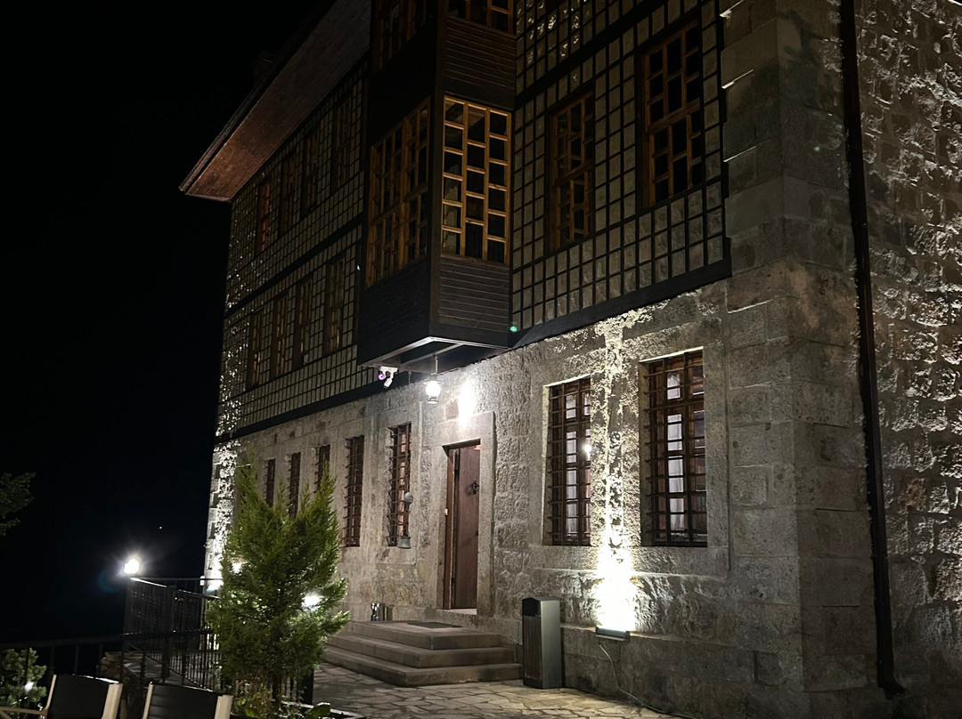杜迪柯纳克酒店主图