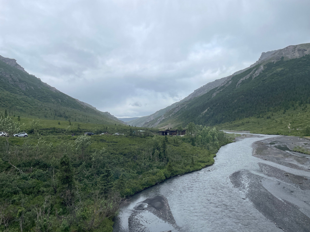 Tundra Wilderness Tour-Denali Park必去景点