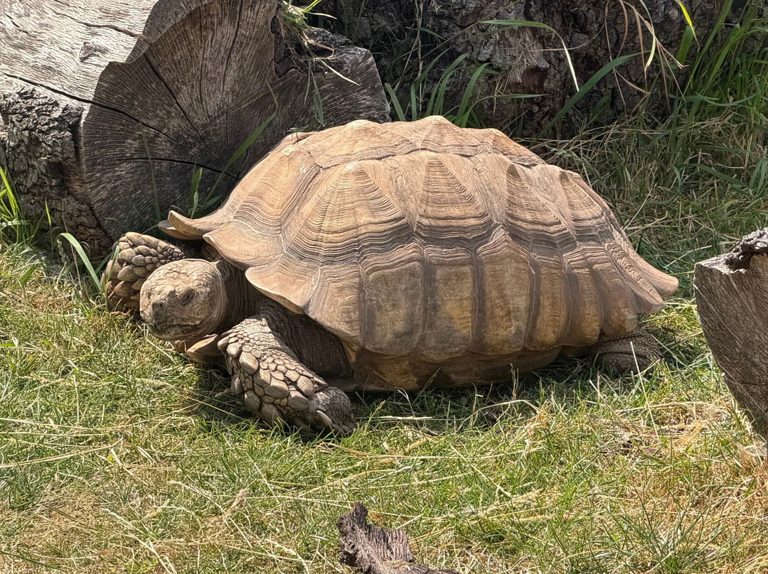 Filey Zoo-Filey必去景点