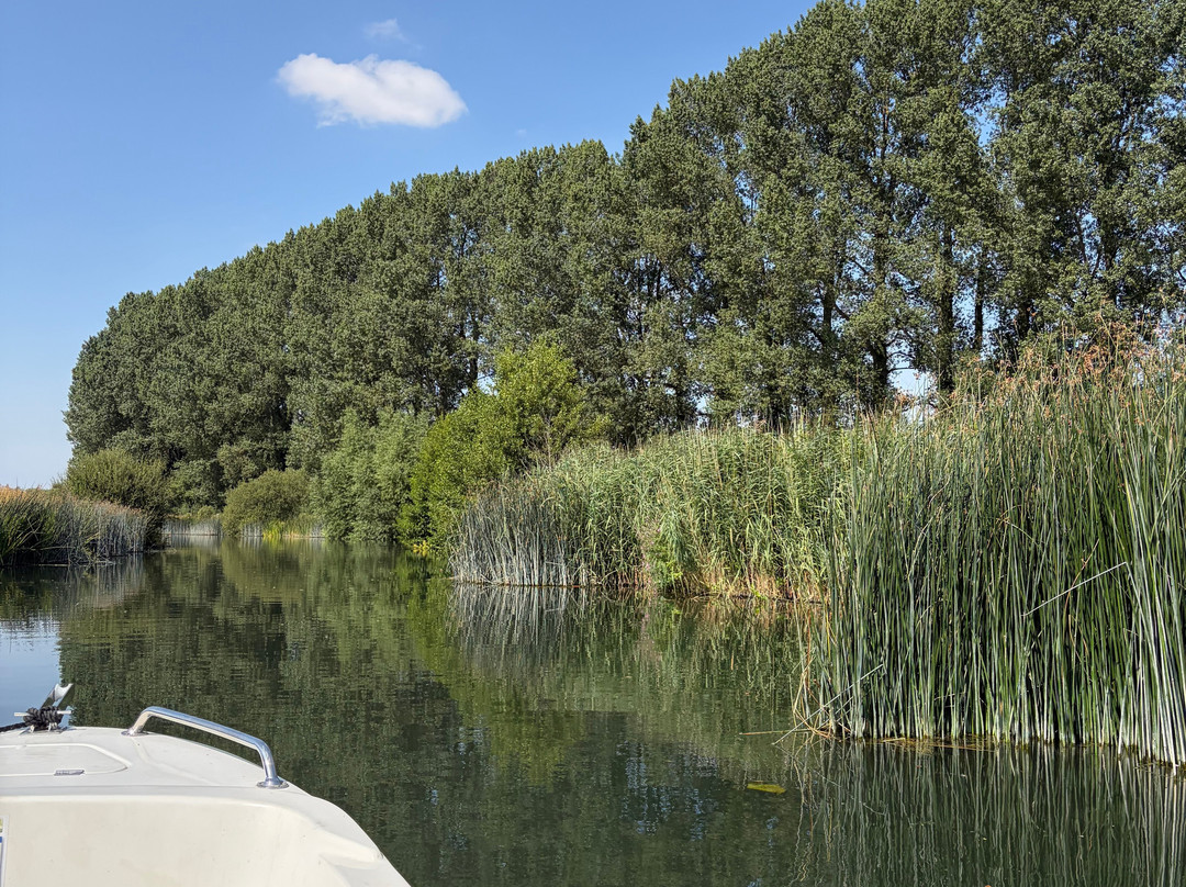 Cotswold Boat Hire Ltd-Buscot必去景点