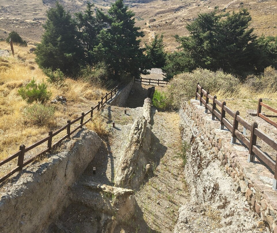 Petrified Forest of Lesbos-Sigri必去景点