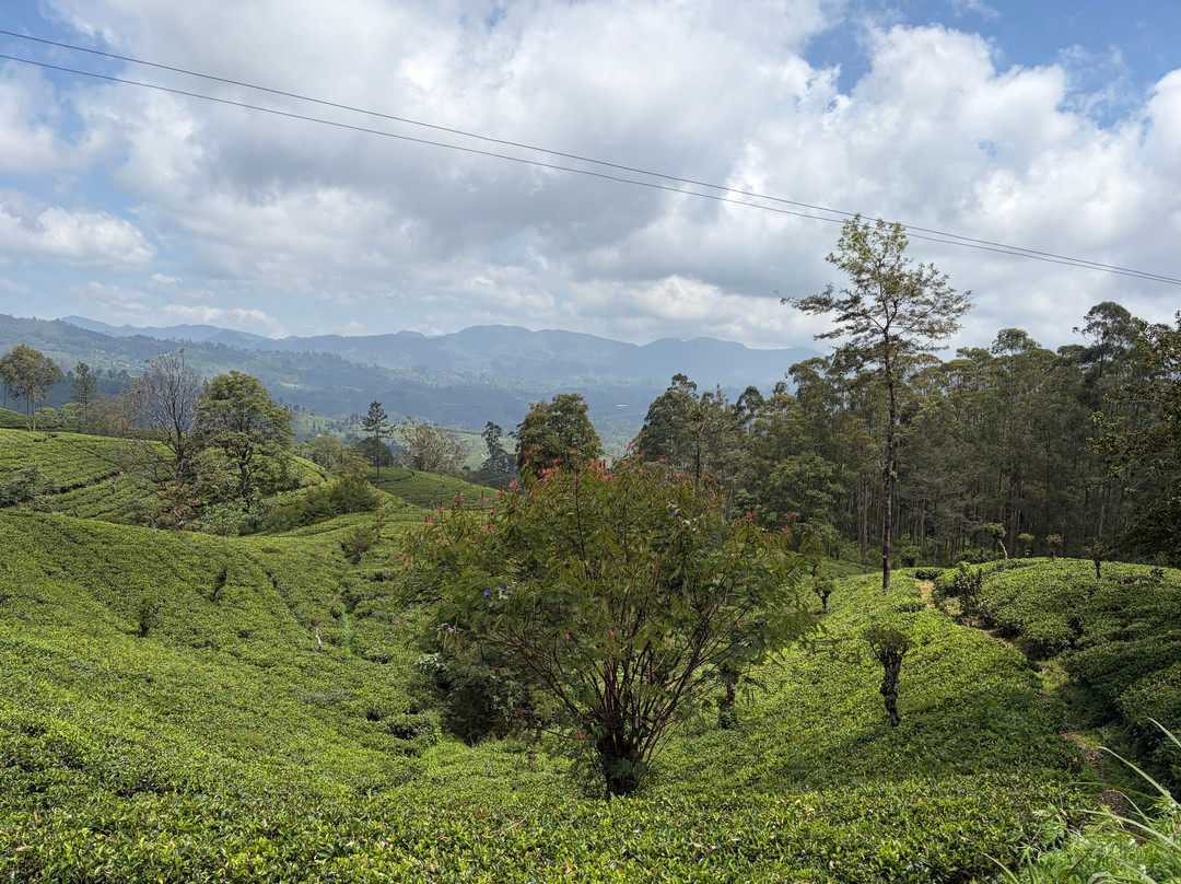 Mahaweli Tours & Holidays-尼甘布必去景点