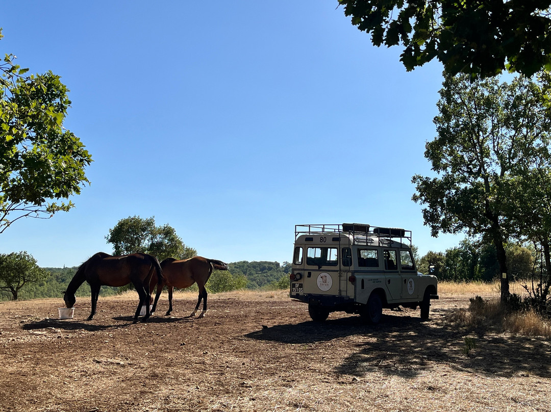 Safari de Saint Cirq Lapopie-Saint-Cirq-Lapopie必去景点