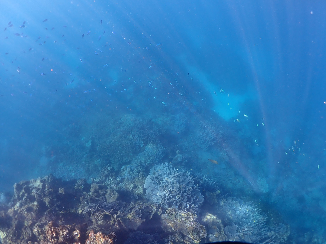Ningaloo Coral Bay Boats-珊瑚湾必去景点