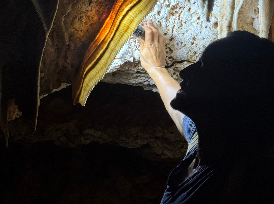 Go Caving Bonaire-Kralendijk必去景点
