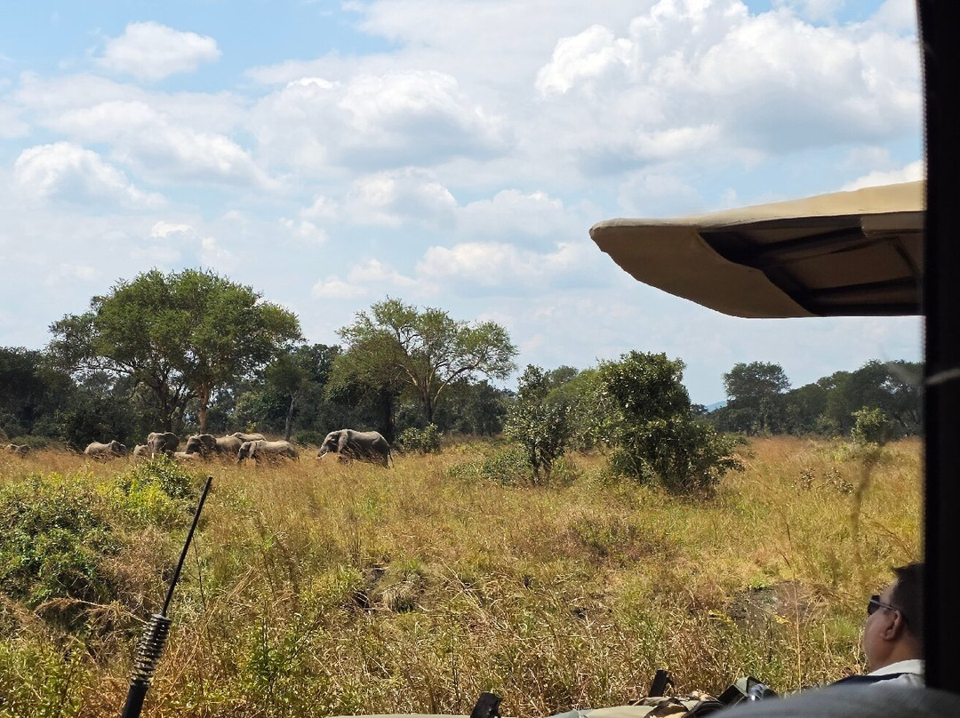 Next Stop Tanzania-阿鲁沙必去景点