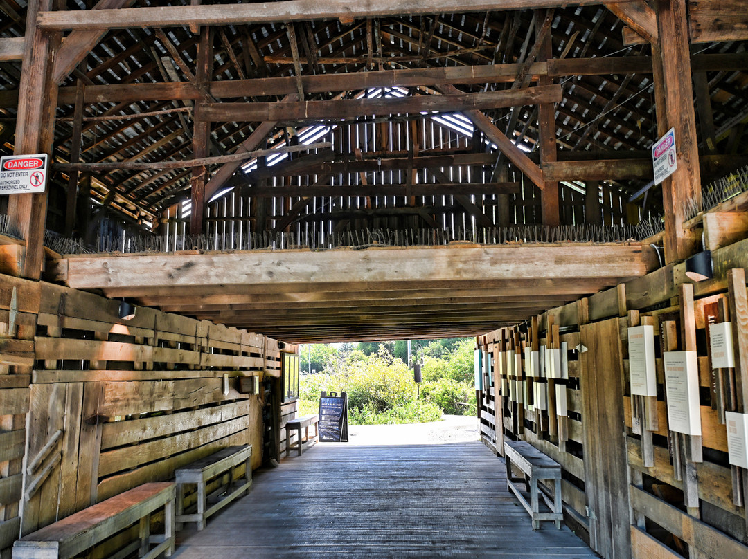 Seven Islands State Birding Park-Kodak必去景点
