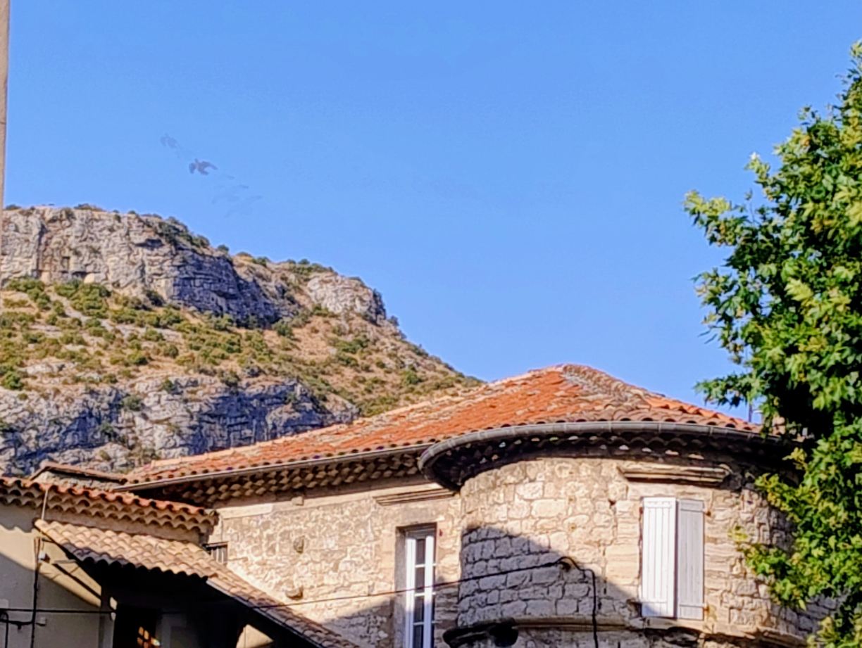 Gite Etape Anduze-旅行者