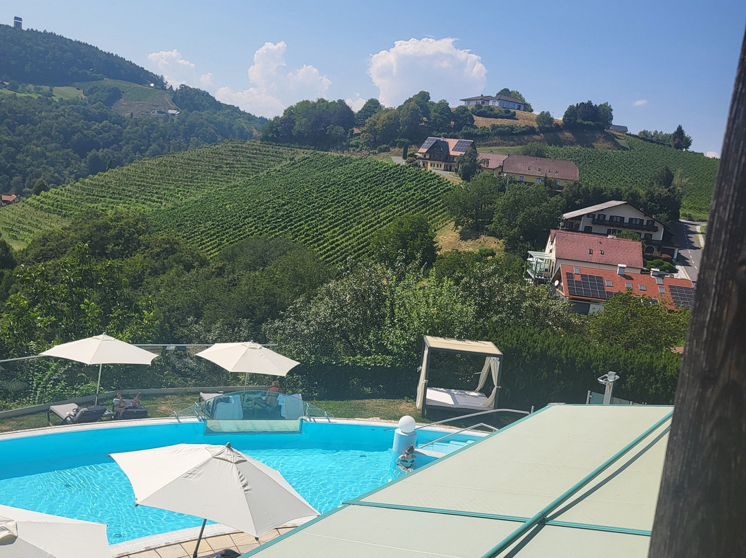 Das Kappel Wein Gut Hotel主图