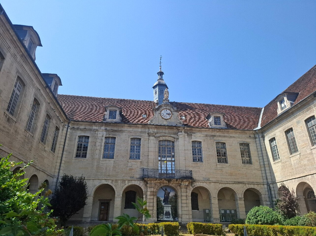 Hôtel-Dieu de Lons-le-Saunier-隆勒索涅必去景点