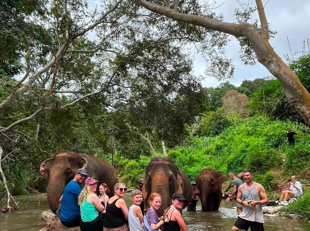 Elephant Sanctuary Care Park-清迈必去景点