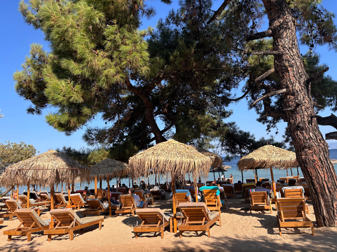 Thassos Imperial Resort主图