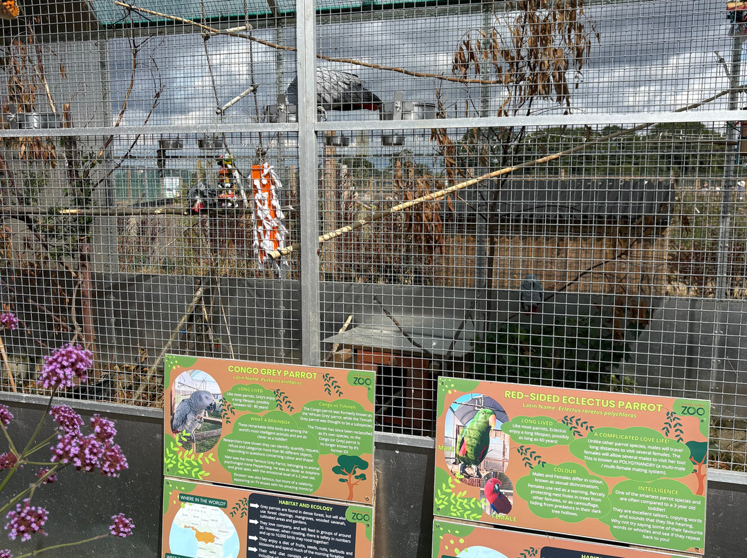 Holmes Chapel Zoo-Holmes Chapel必去景点