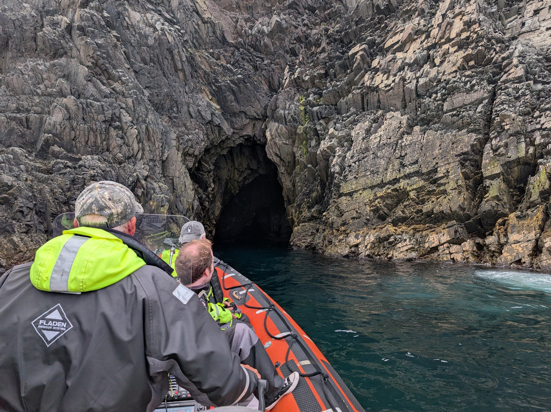 Discovery Sea Adventures-Bonavista必去景点