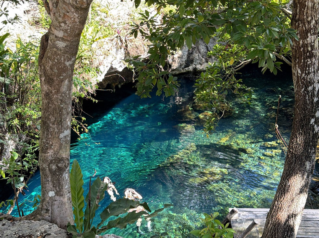 Gran Cenote-图伦必去景点