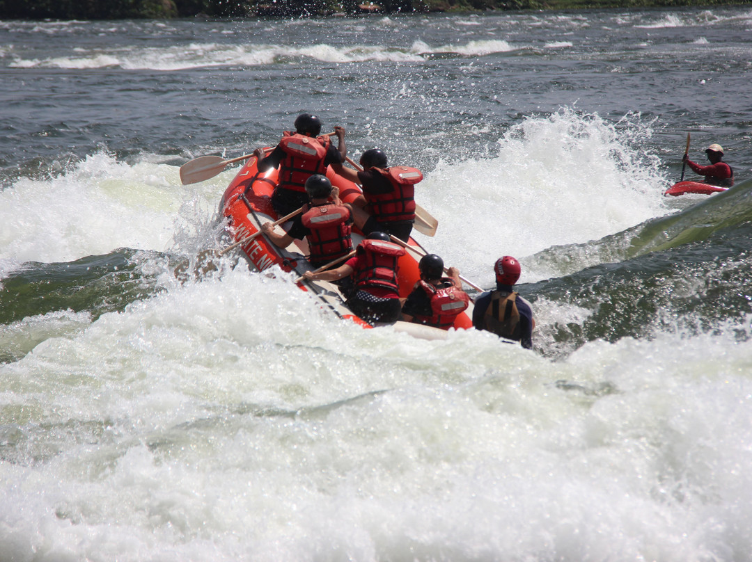 White Nile Rafting Limited-金贾必去景点